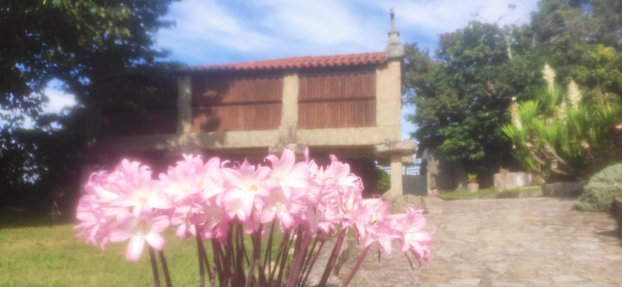Hostal Casal De Folgueiras Rias Baixas Meis Exterior foto